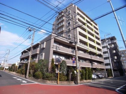 グラビスコート光が丘